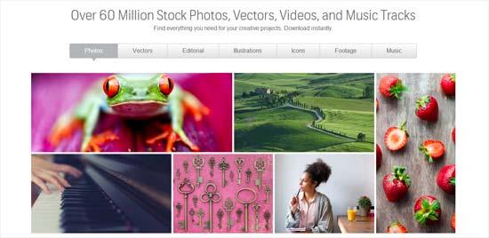 Shutterstock Shutterstock