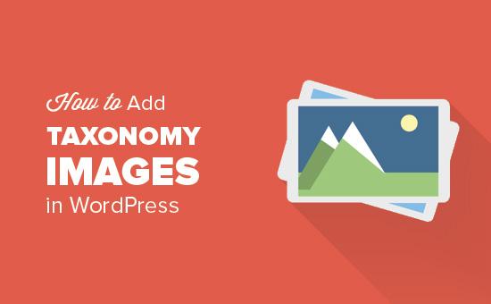 How to Add Taxonomy Images in WordPress How to Add Taxonomy Images in WordPress