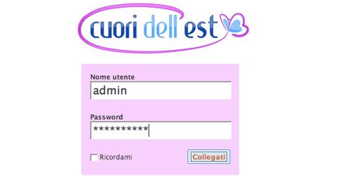 Custom WordPress Login Page