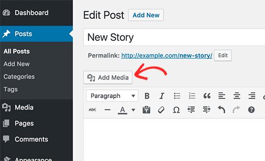 Add image in a WordPress post or page Add image in a WordPress post or page