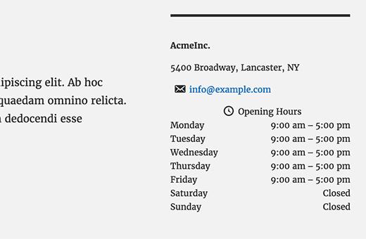 Business info and opening hours in WordPress Business info and opening hours in WordPress