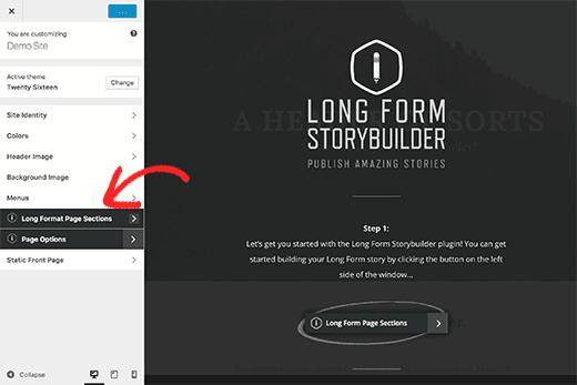Long form content editor options inside customizer Long form content editor options inside customizer