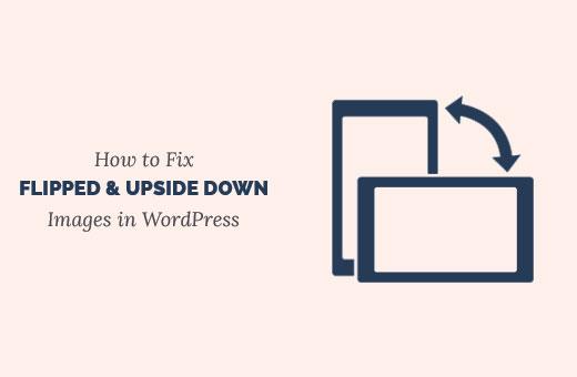 Fix flipped and upside down images in WordPress Fix flipped and upside down images in WordPress