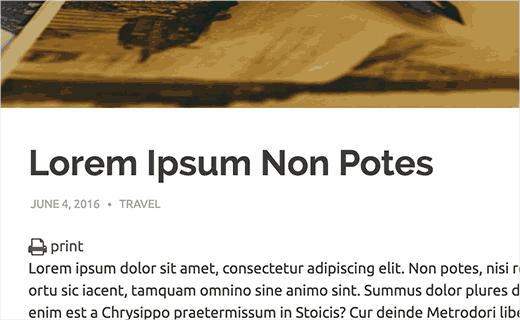 Print button in WordPress post Print button in WordPress post