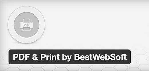 PDF and Print PDF and Print