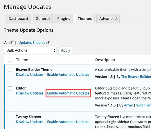 Select which themes to automatically update Select which themes to automatically update