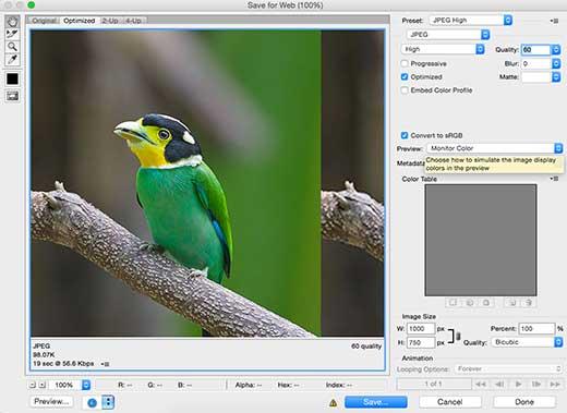 Saving images for the web in Photoshop Saving images for the web in Photoshop