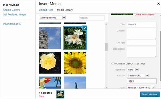 Adding custom link to a single image in WordPress Adding custom link to a single image in WordPress