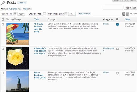 Customized posts screen in WordPress admin area Customized posts screen in WordPress admin area