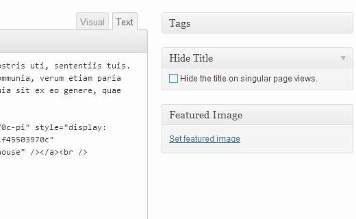 Hinding post or page title for single pages Hinding post or page title for single view pages