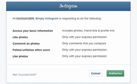 Authorize Simply Instagram Authorize Simply Instagram