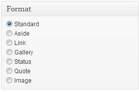 Post Formats Radio Button User Interface Post Formats Radio Button User Interface