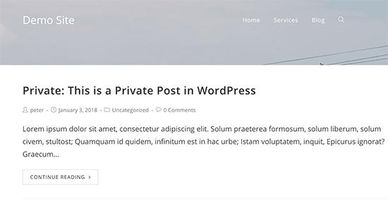 WordPress中的私人帖子预览 WordPress中的私人帖子预览