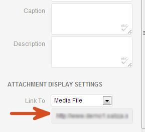 Copy File Location in Media Uploader Copy File Location in Media Uploader
