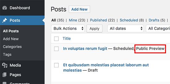 Public preview status of the posts Public preview status of the posts