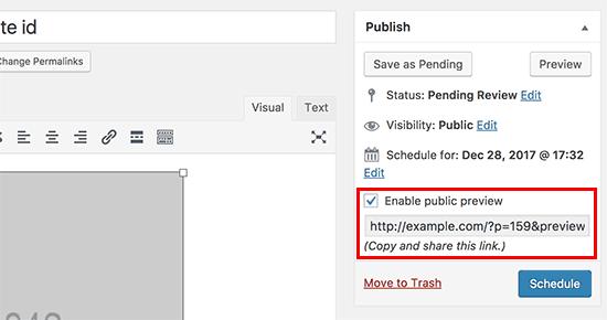 Enable public preview URL Enable public preview URL