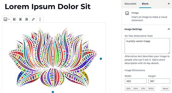 SVG file embed in WordPress post SVG file embed in WordPress post
