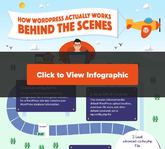 Click to View the Behind the Scenes WordPress Infographic Click to View the Behind the Scenes WordPress Infographic