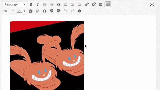 Preview of an animated GIF in WordPress post editor Preview of an animated GIF in WordPress post editor