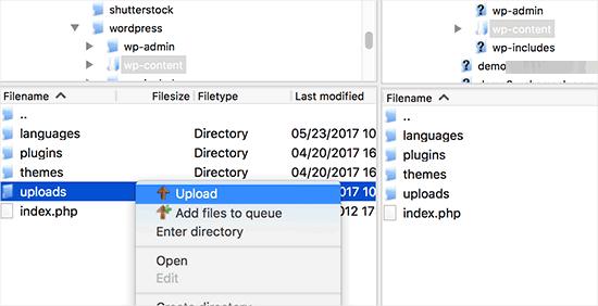 Upload the uploads folder Upload the uploads folder