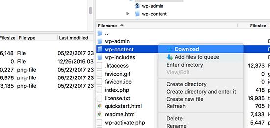 Download wp-content folder Download wp-content folder