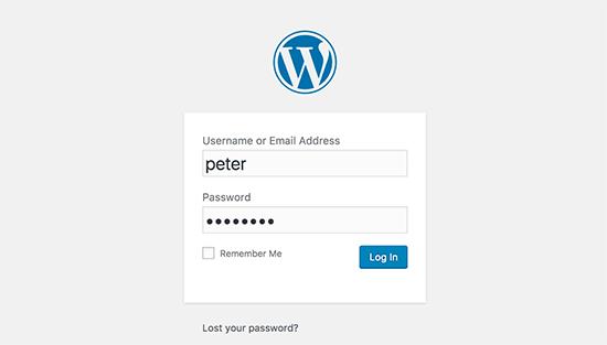 WordPress login screen WordPress login screen