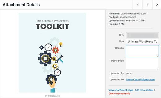 PDF thumbnail preview in WordPress 4.7 PDF thumbnail preview in WordPress 4.7