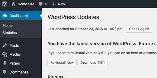 WordPress updates WordPress updates