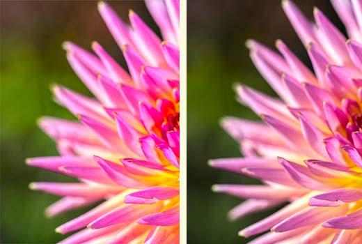 Color and saturation loss in WordPress Color and saturation loss in WordPress