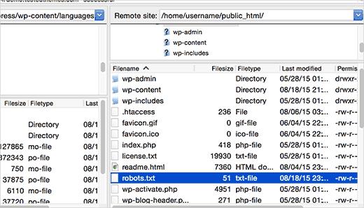 Locating robots.txt file on a WordPress site using FTP client Locating robots.txt file on a WordPress site using FTP client
