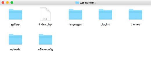 在典型的WordPress博客的wp-content文件夹中 在典型的WordPress博客的wp-content文件夹中