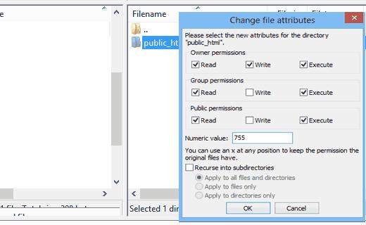 Changing file permission for root directory