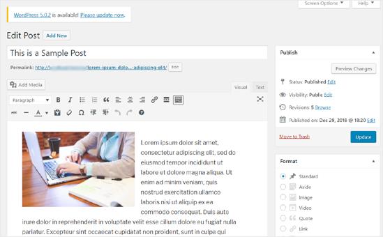 classic-wp-editor classic-wp-editor