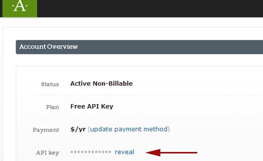 Get your Akismet API Key anytime from your Akismet Account page
