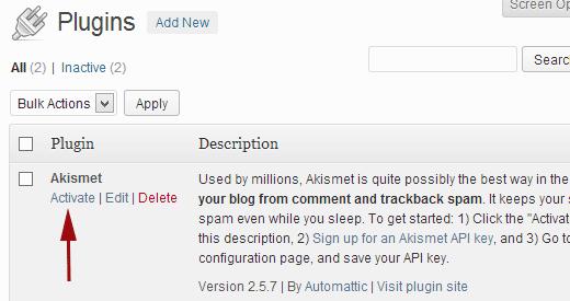 Activate Akismet in WordPress Activate Akismet in WordPress