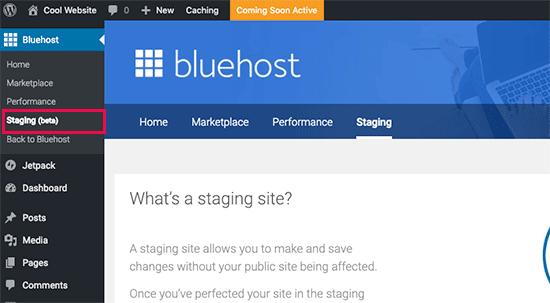 Creating a staging site in Bluehost Creating a staging site in Bluehost