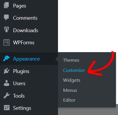 Customize option WordPress Customize option WordPress