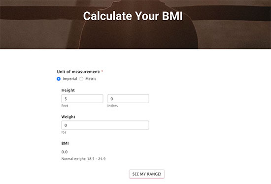 在网站上预览 BMI 计算器表格
