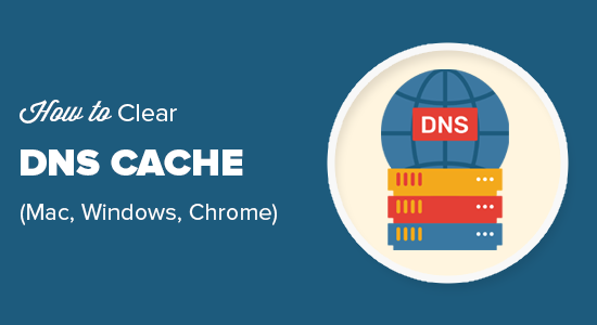 如何清除 DNS 缓存（Mac、Windows、Chrome）