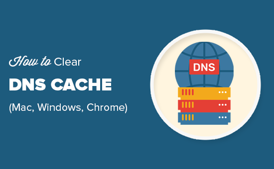 轻松清除 macOS、Windows 和 Chrome 中的 DNS 缓存