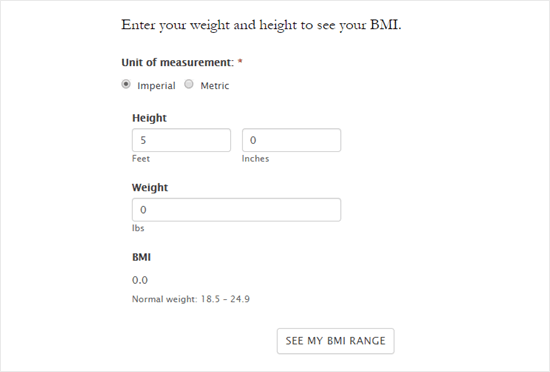 BMI 表单的默认样式 BMI 表单的默认样式