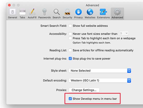 在 Safari 中启用开发菜单 在 Safari 中启用开发菜单