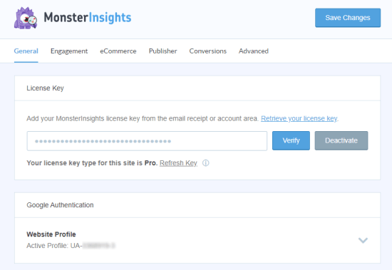 在设置页面上输入您的 MonsterInsights 许可证密钥
