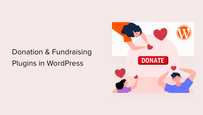 最好的 WordPress 捐赠插件 最好的 WordPress 捐赠插件