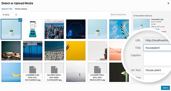在 WordPress 中更改图像标题 在 WordPress 中更改图像标题