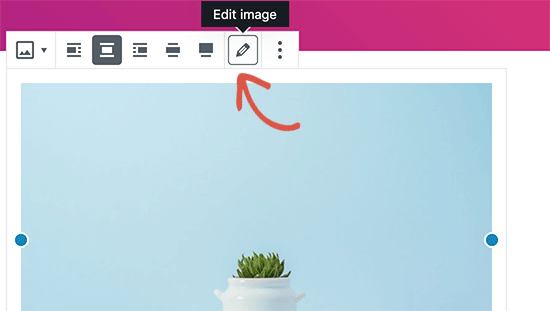 在默认的 WordPress 编辑器中编辑图像 在默认的 WordPress 编辑器中编辑图像