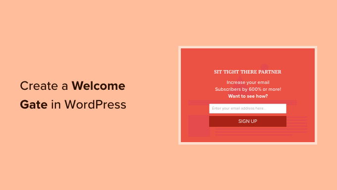 如何在 WordPress 中创建欢迎门 如何在 WordPress 中创建欢迎门