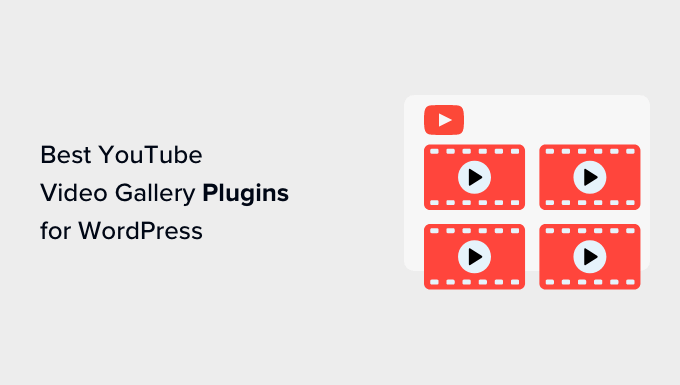 适用于 WordPress 的最佳 YouTube 视频库插件