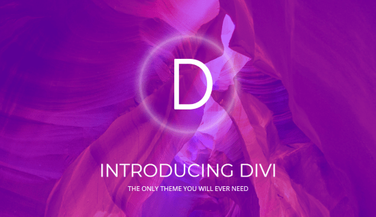 Divi WordPress主题