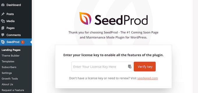 SeedProd许可证密钥